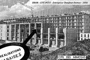 Oran - Cite Petit - Cite des Mimosas - 1956